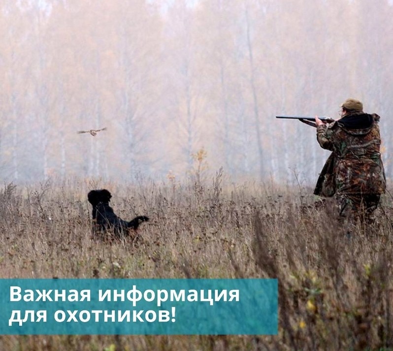 График проведения жеребьевок для определения охотников, допущенных к участию в распределении разрешений на добычу лося, благородного оленя, косули сибирской, кабарги, дикого северного оленя в сезоне охоты 2024-2025 годов
